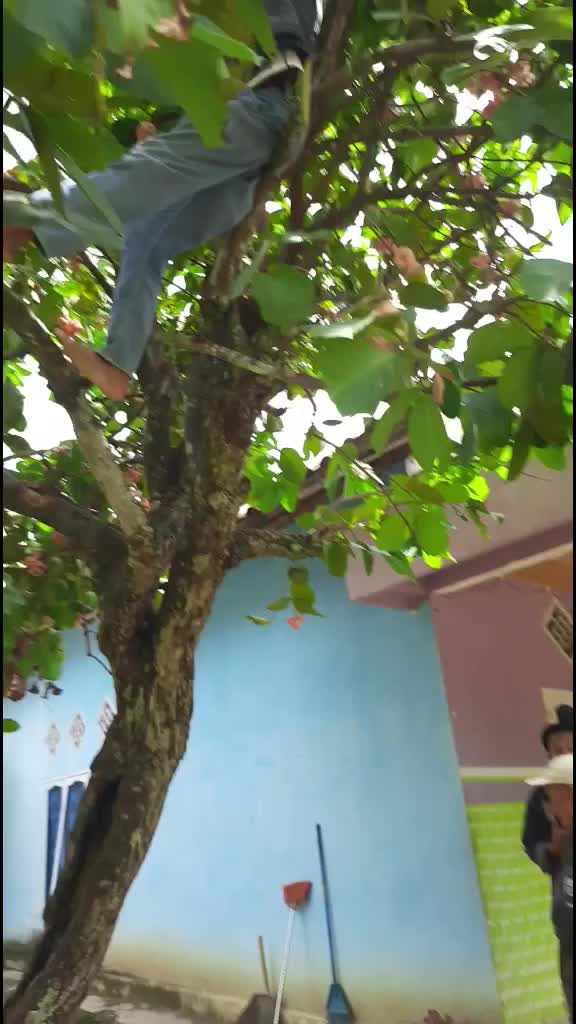 @Rikaad