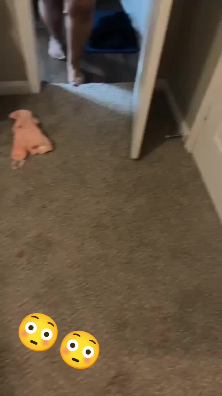 @bloombear23
