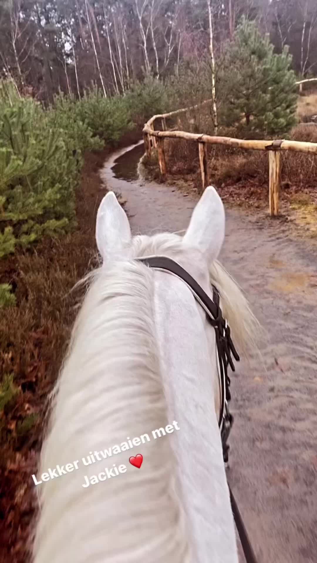 @T.P16