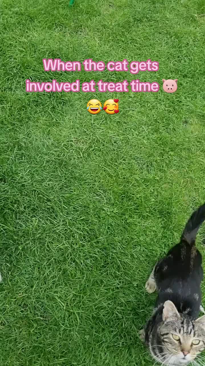 @Beloved Borders uk