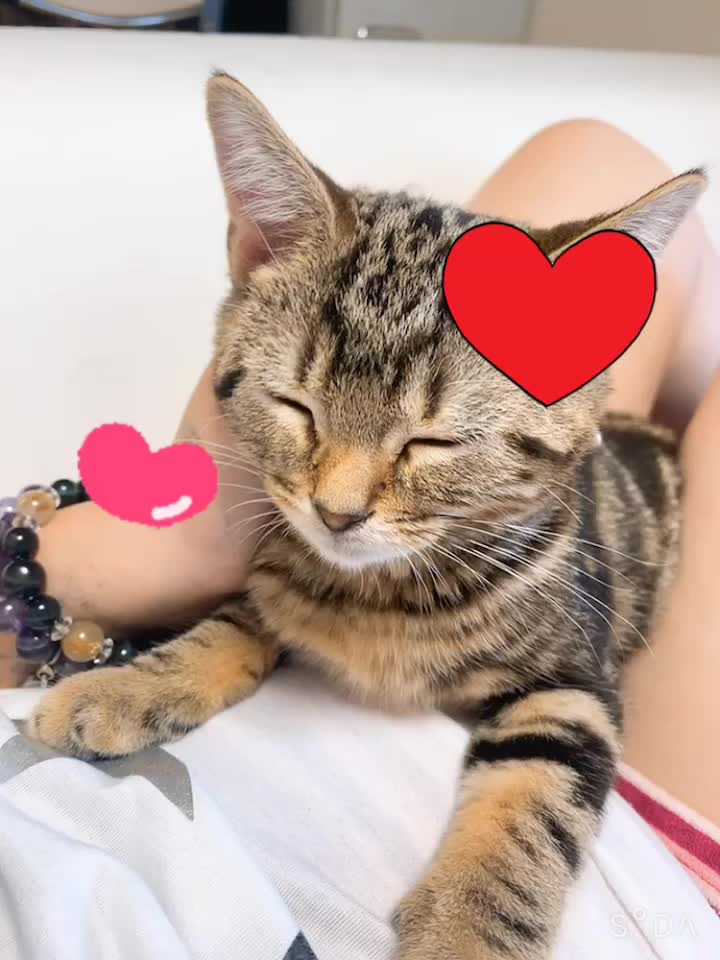 @𝕐&𝕐