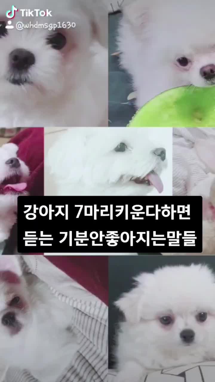 @๋ง์ค