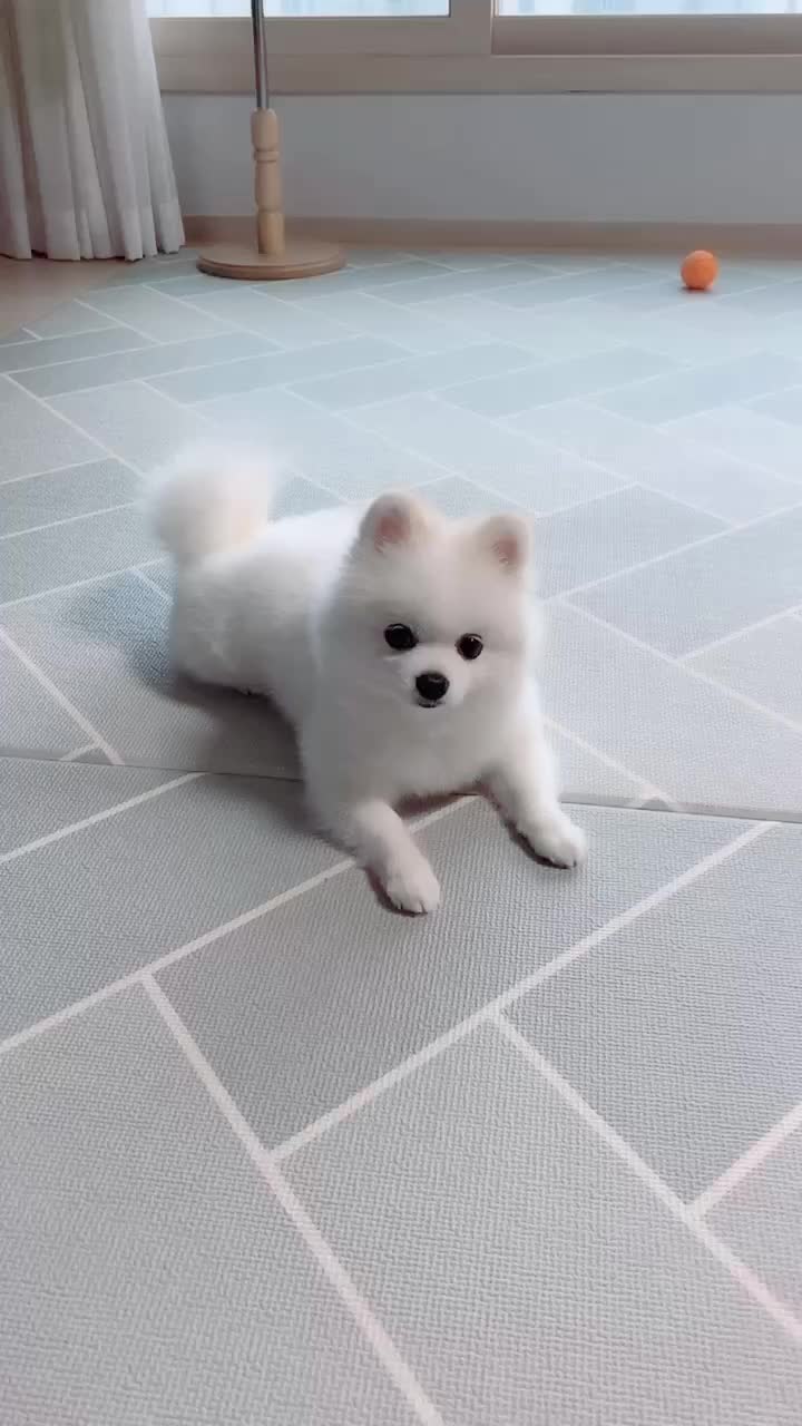@권하리