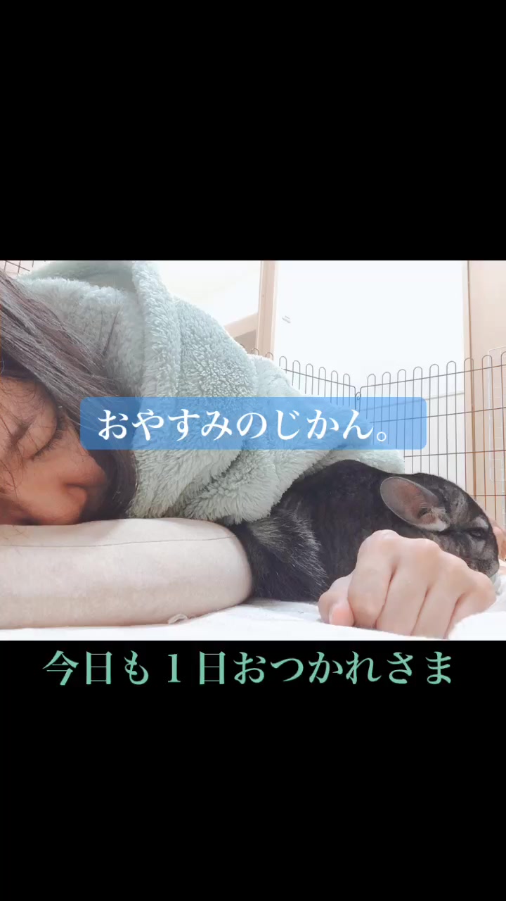 @ゆに♀チンチラ