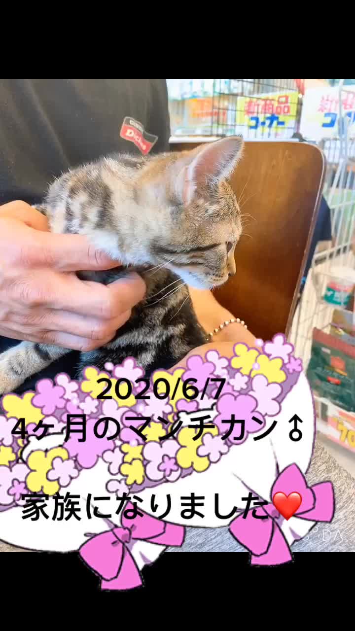 @𝕐&𝕐