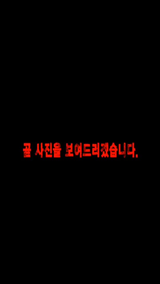 @쏭쏭