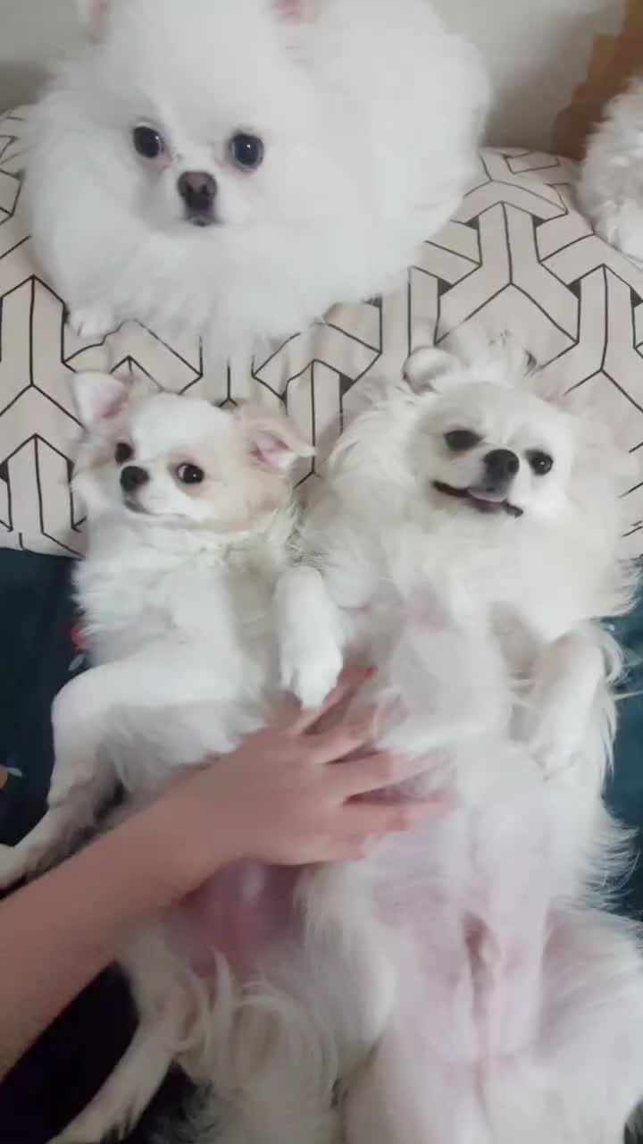 @๋ง์ค