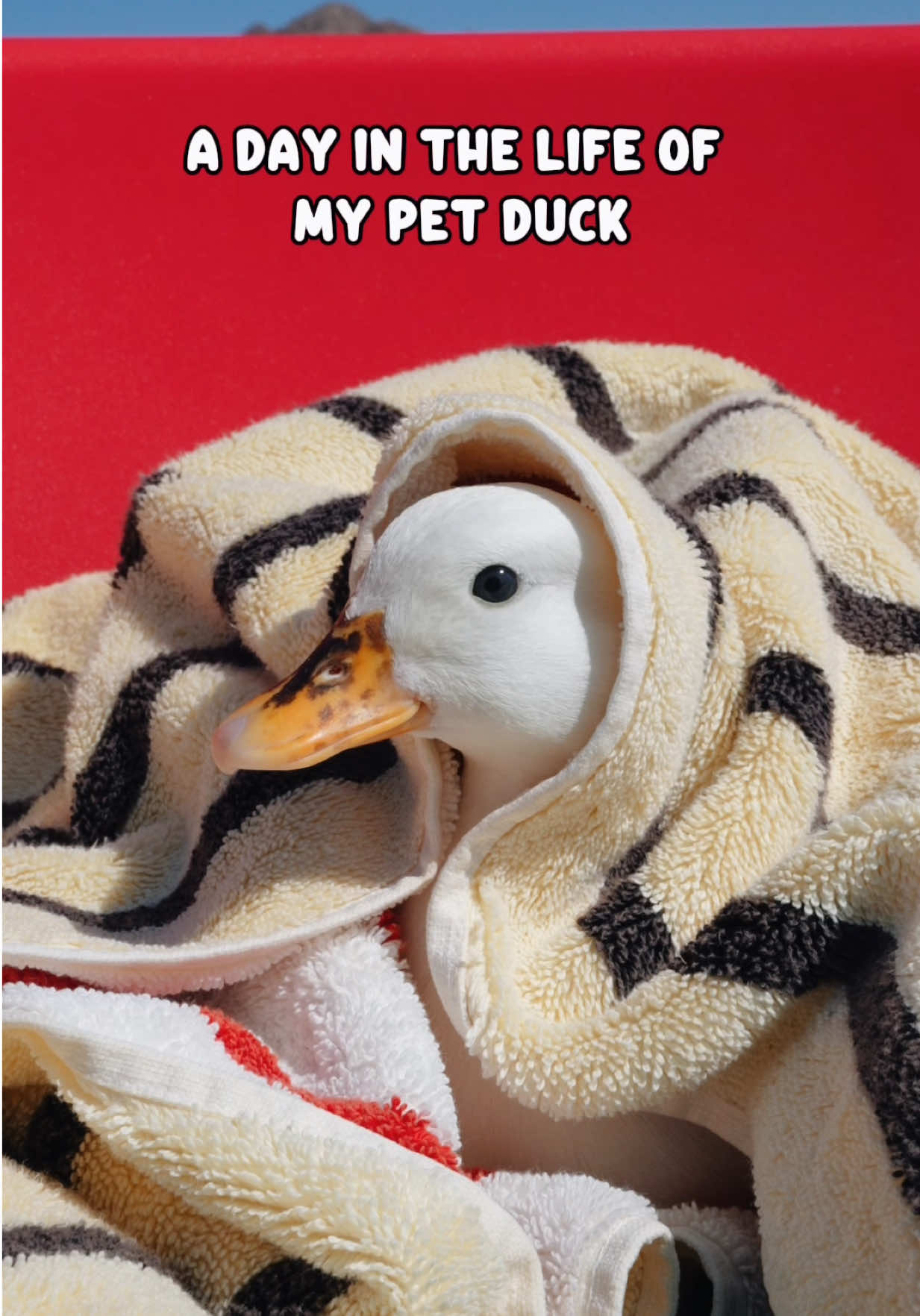 @ducks_in_space🪿🪿💦