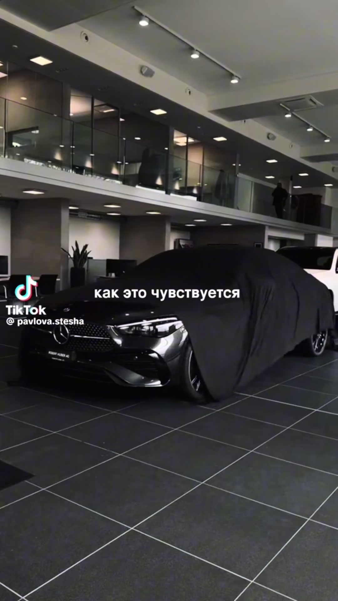 @Akhalteke_club