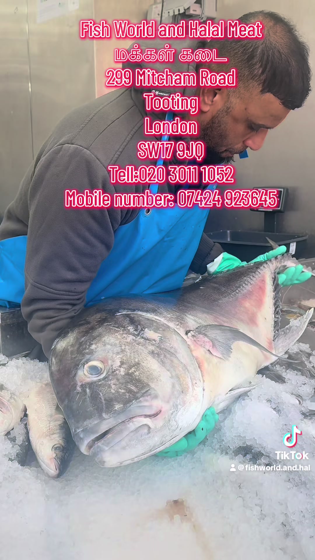 @Fishworld and Halal Meat