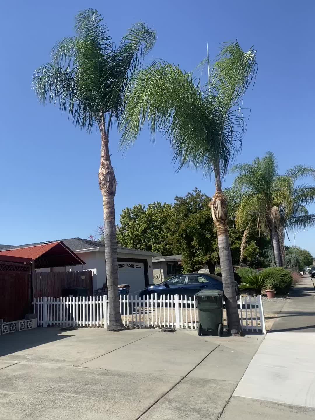 @Leonel Cortez