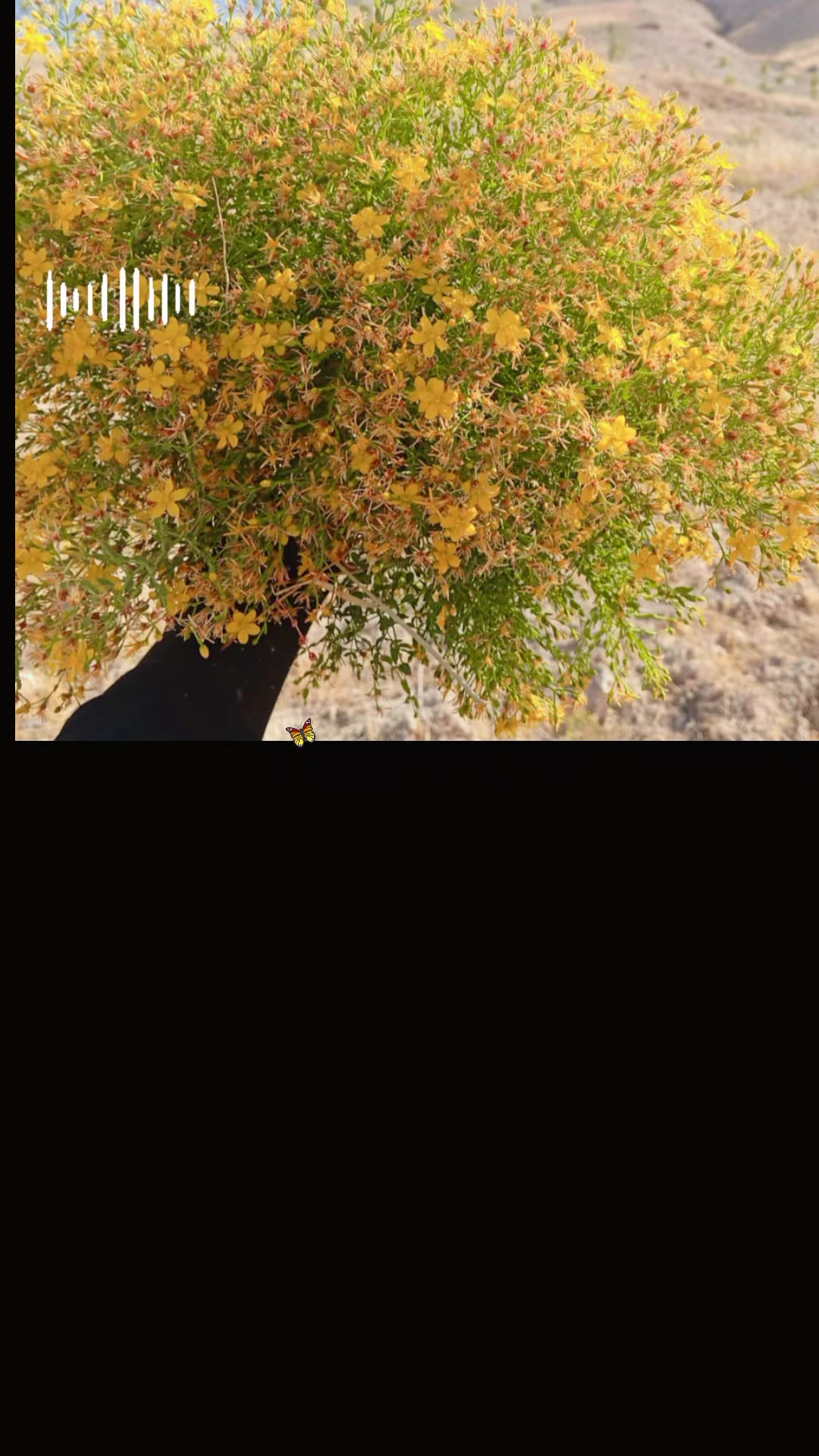 @cemre 34