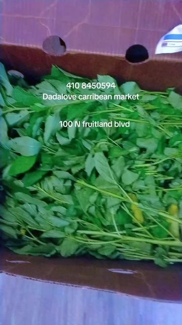 @Dadalovestore Llc