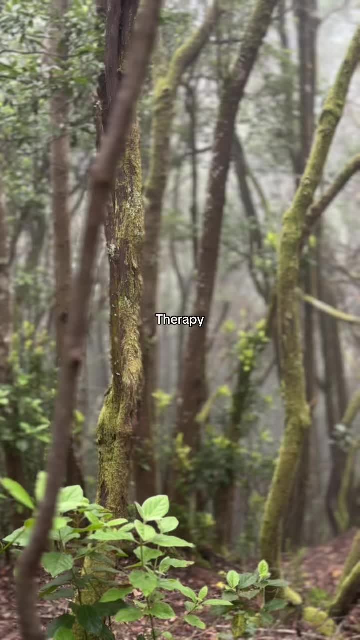 @soyjosuereyess