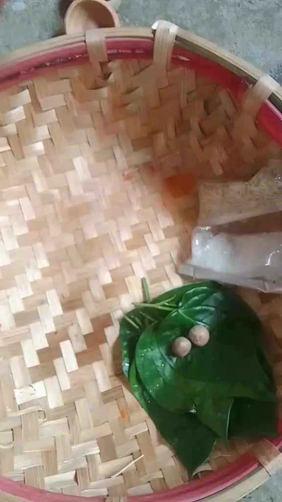 @thakursadhana000