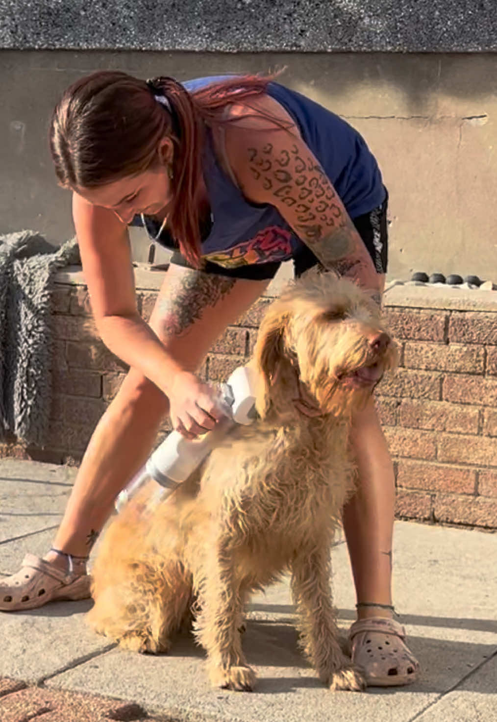 @Croesy Canine Services