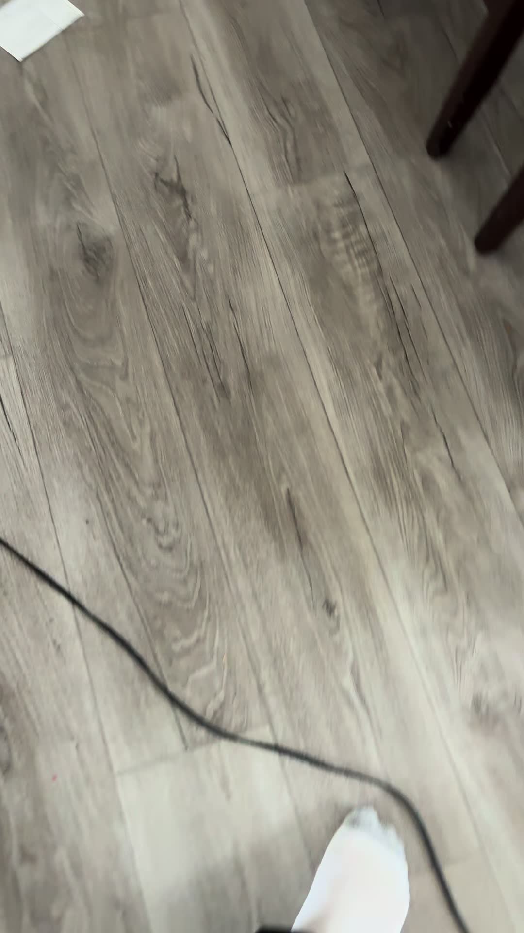 @loganp4rk