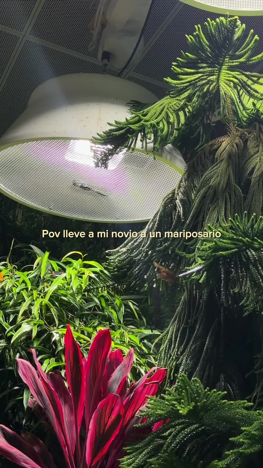 @Kiki Montilla