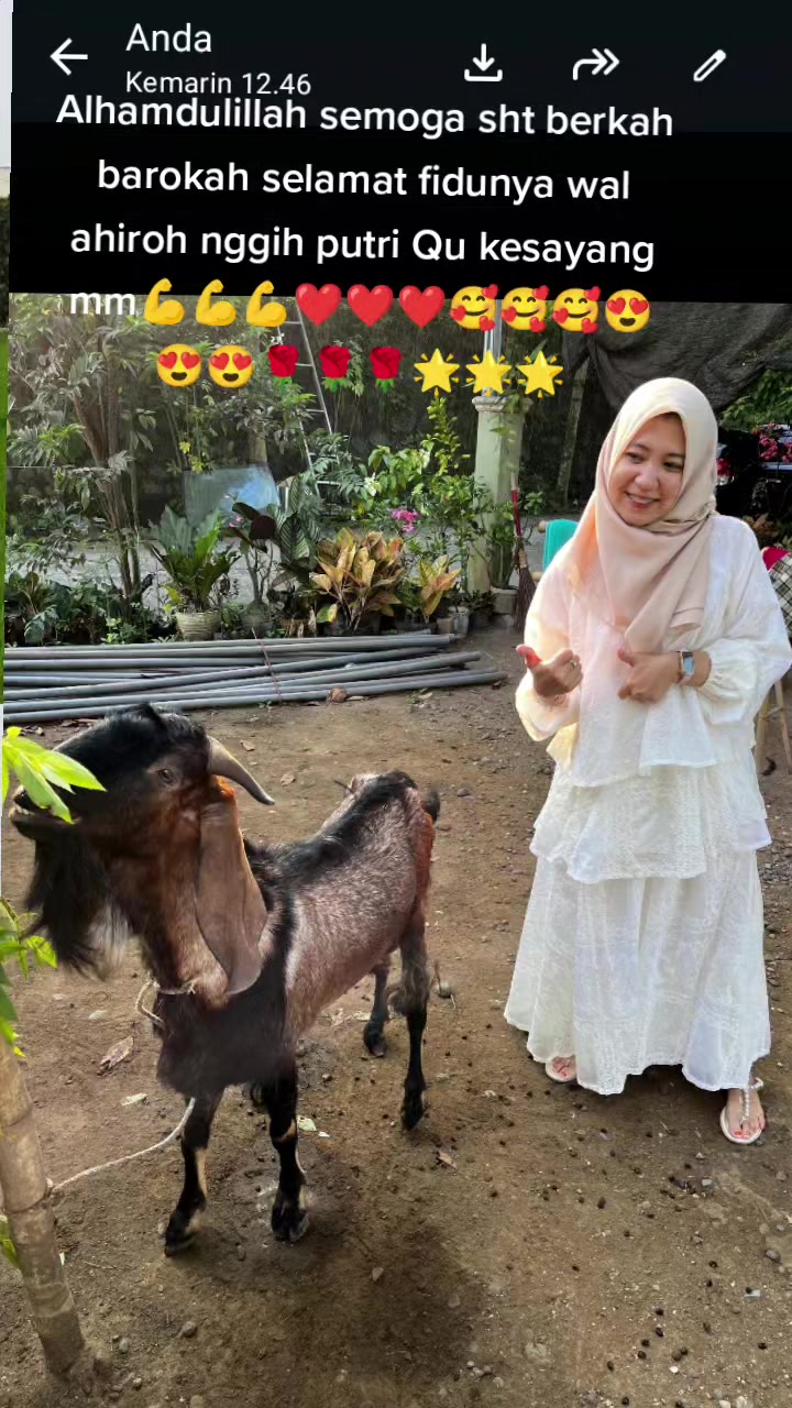 @sisri47