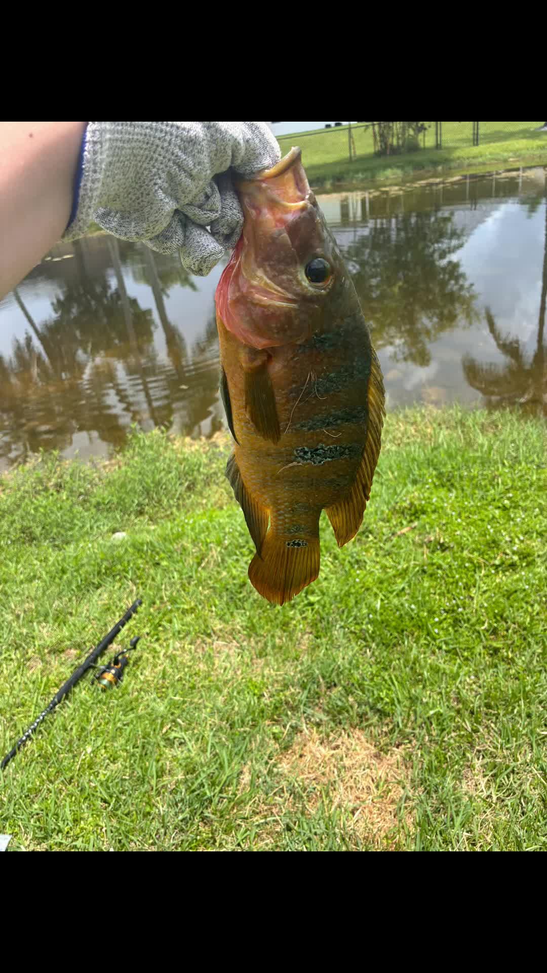 @Teamfishing