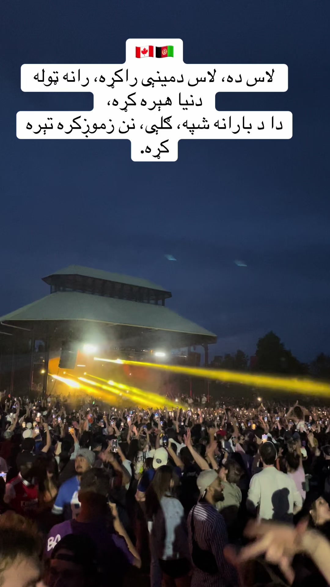 @Zaman Farahi