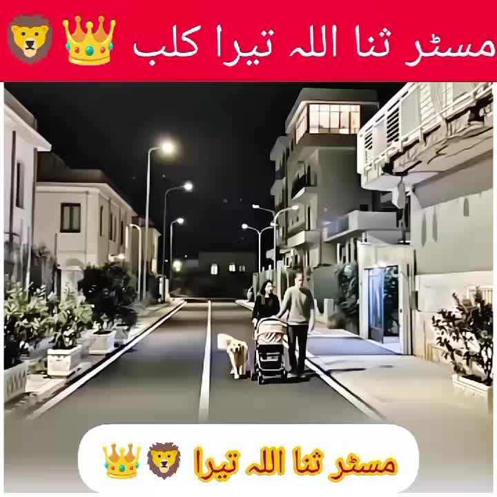 @ᴹʀ Ｓꪋⁿꪋ𝐮ไไꪋ𝚑