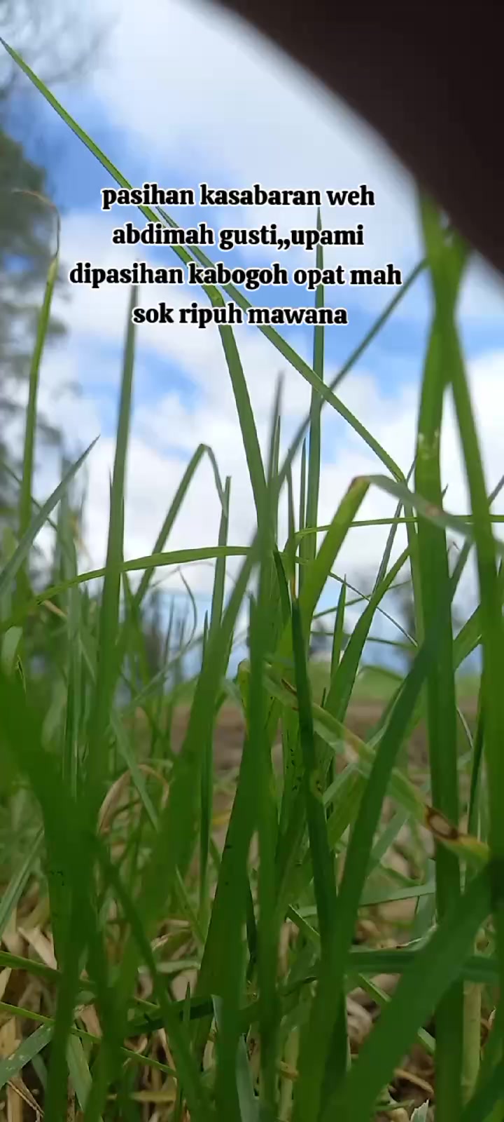 @Abimbim