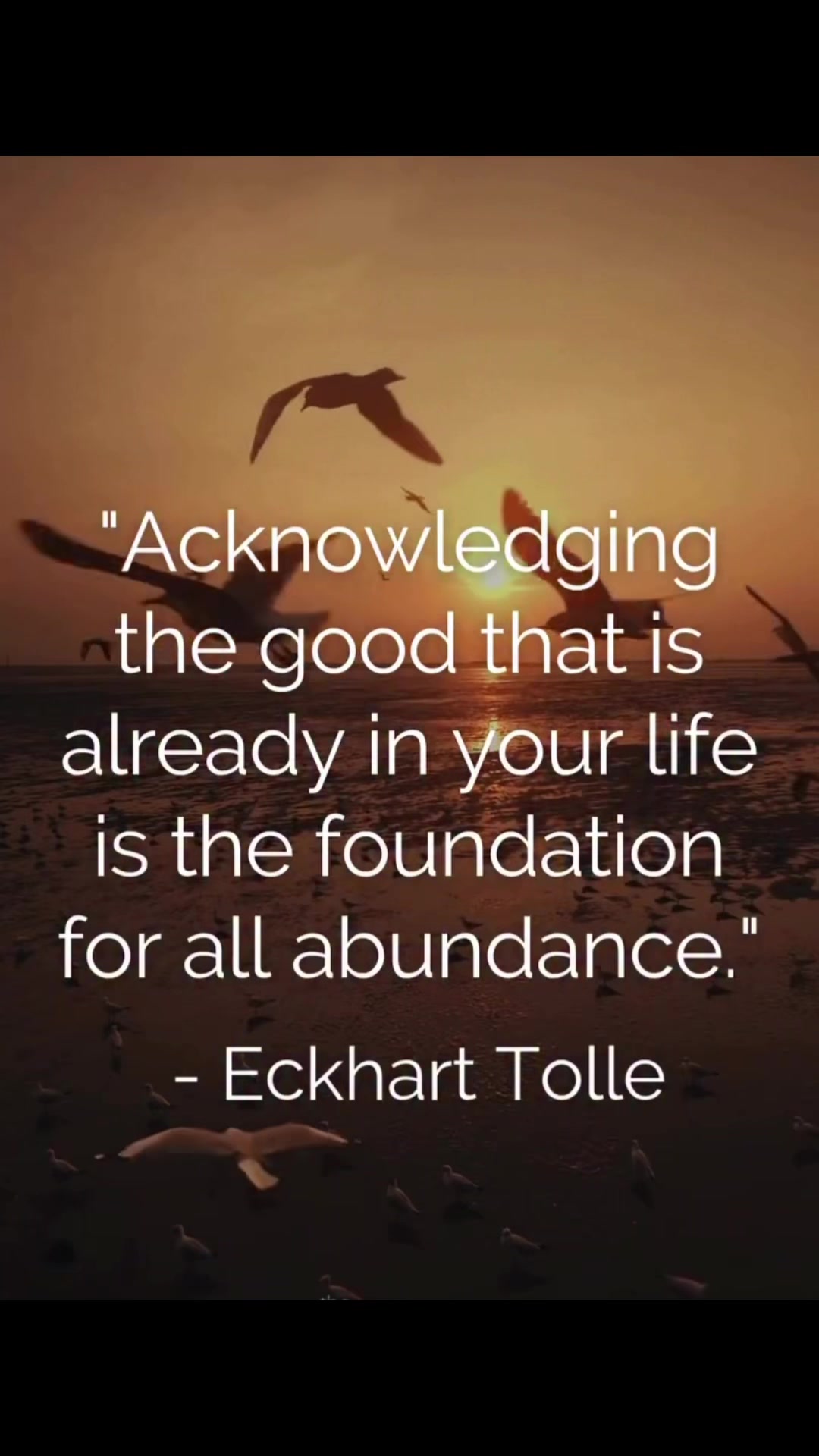 @ImmortalAffirmations