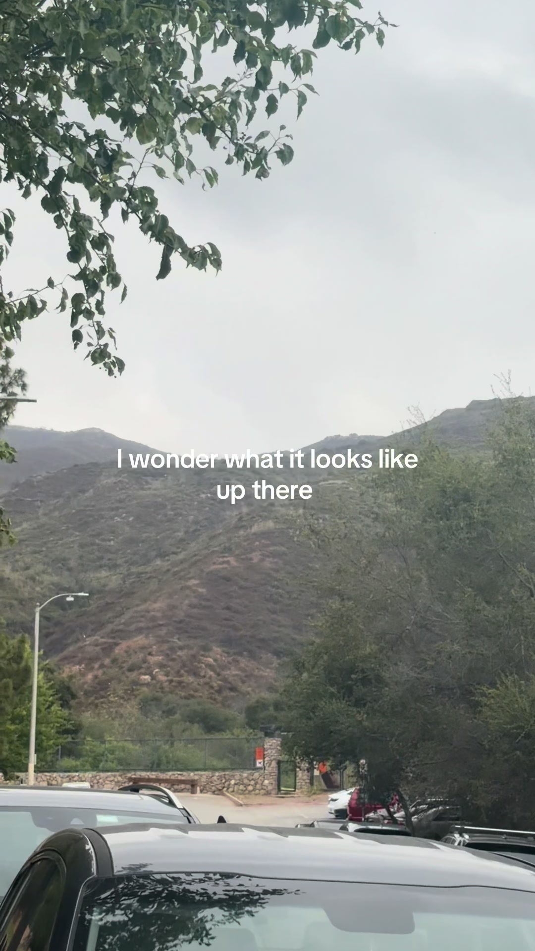 @bryyyy
