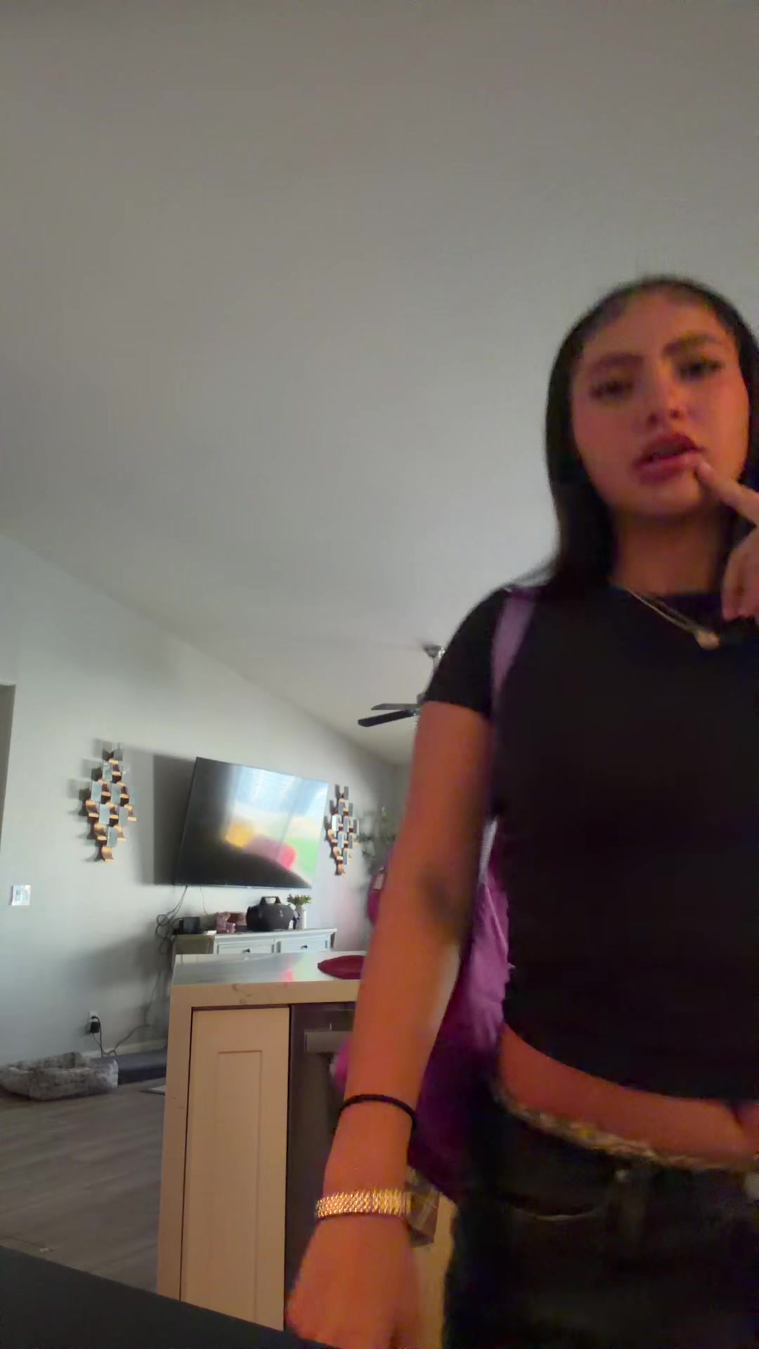 @laylav