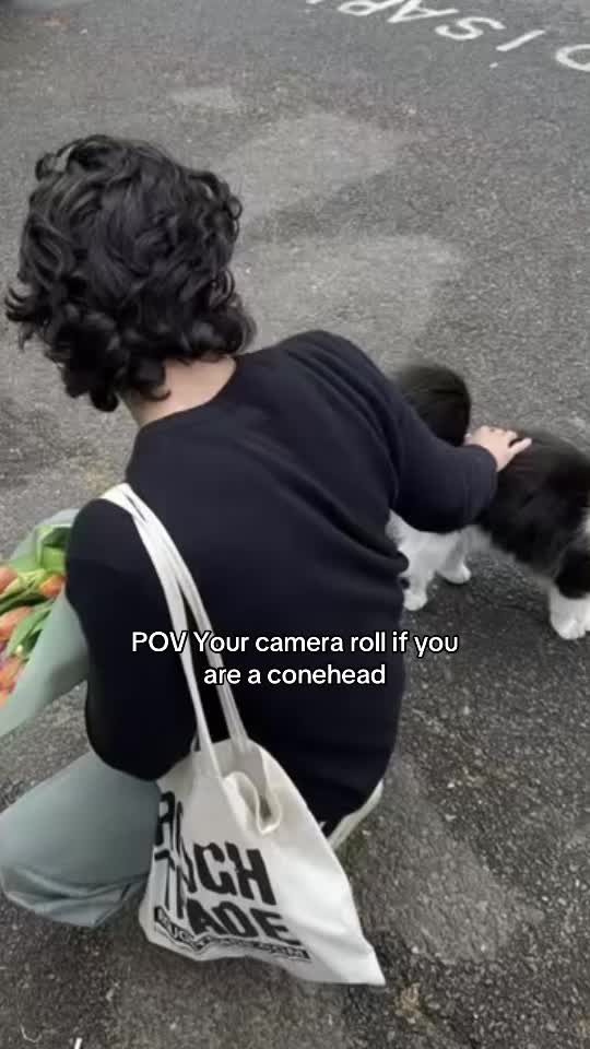 @conangrayfan.87