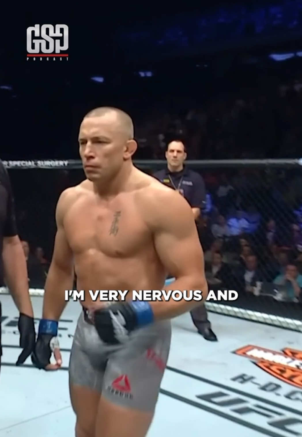 @Georges St-Pierre