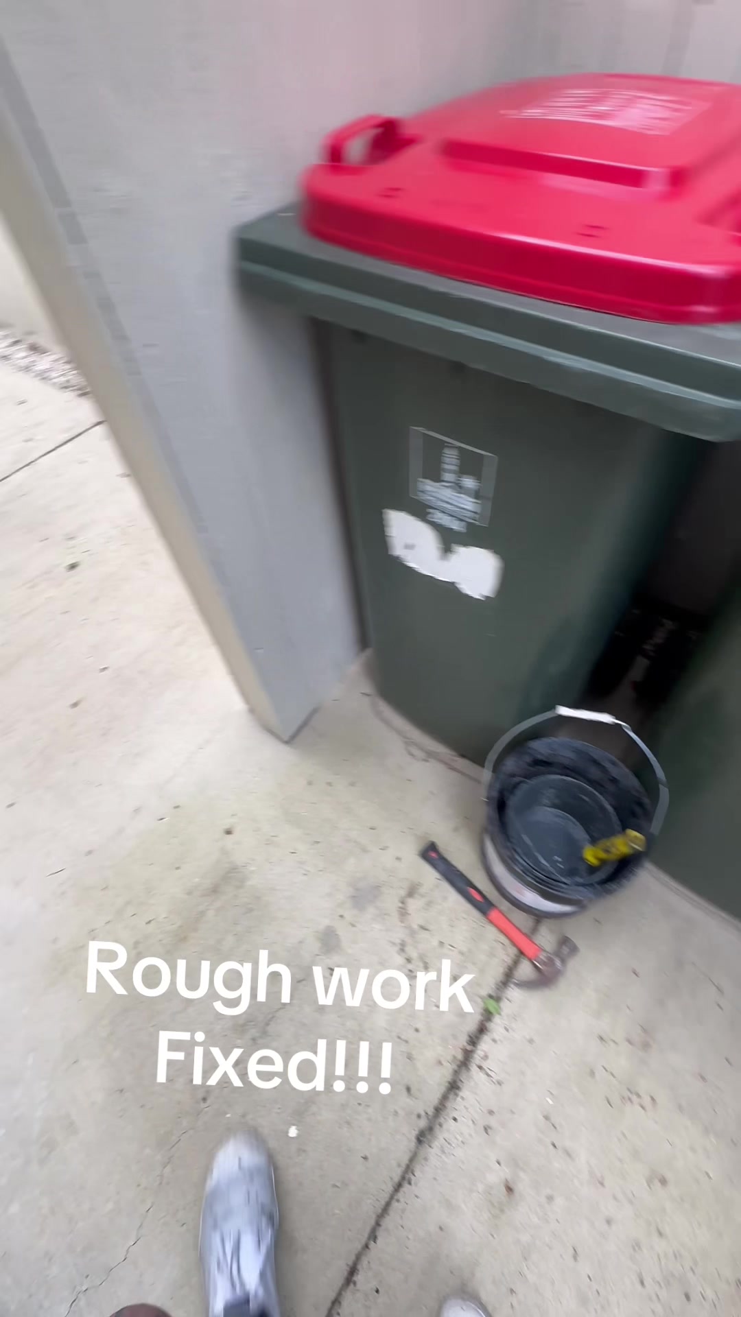@Chook Lion