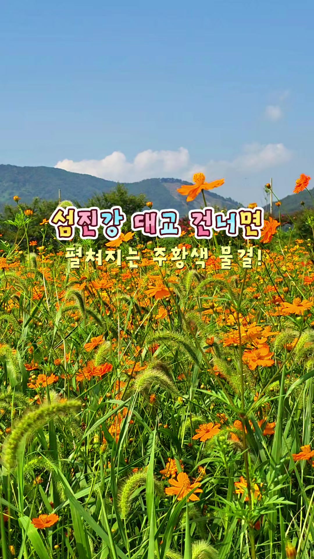 @ON로드 여행기