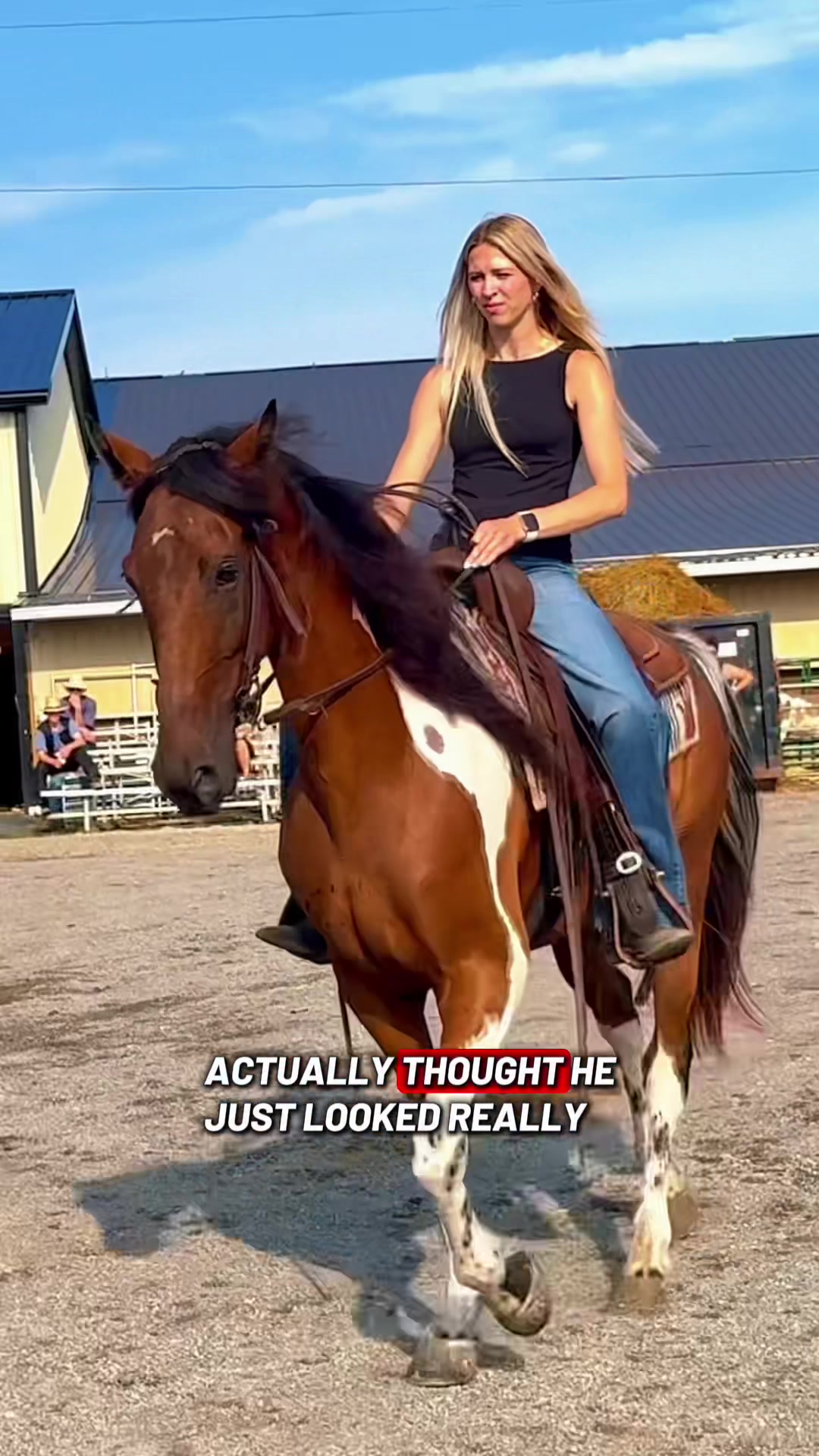 @Free Spirit Equestrian