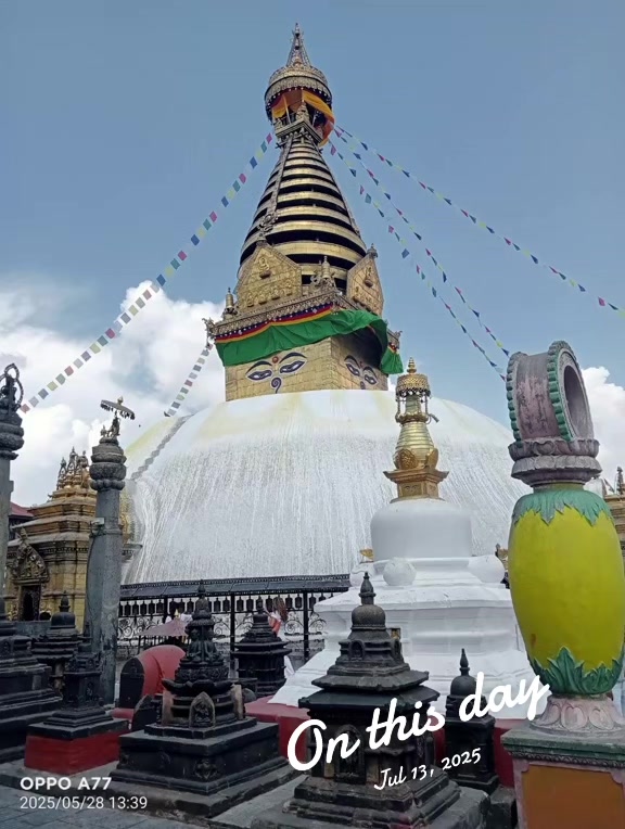 @Sherku sherpa