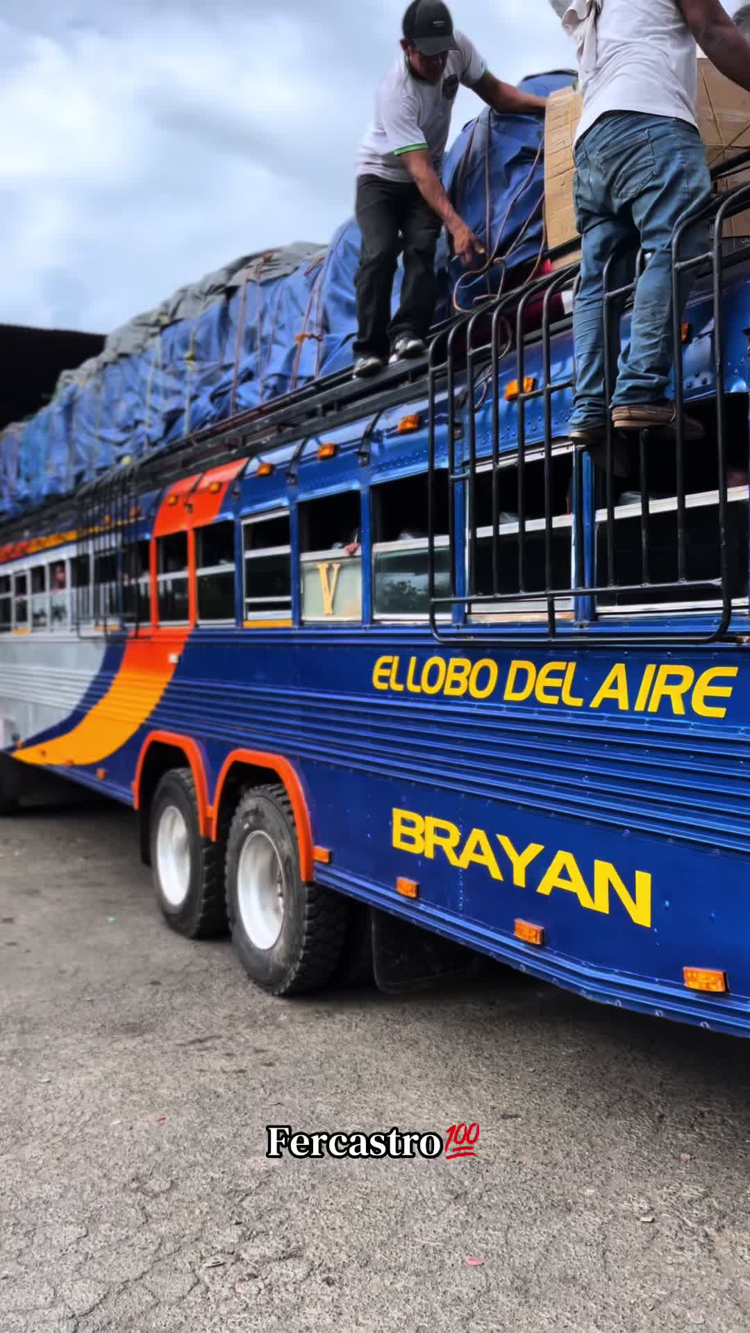 @Nica buses 💯