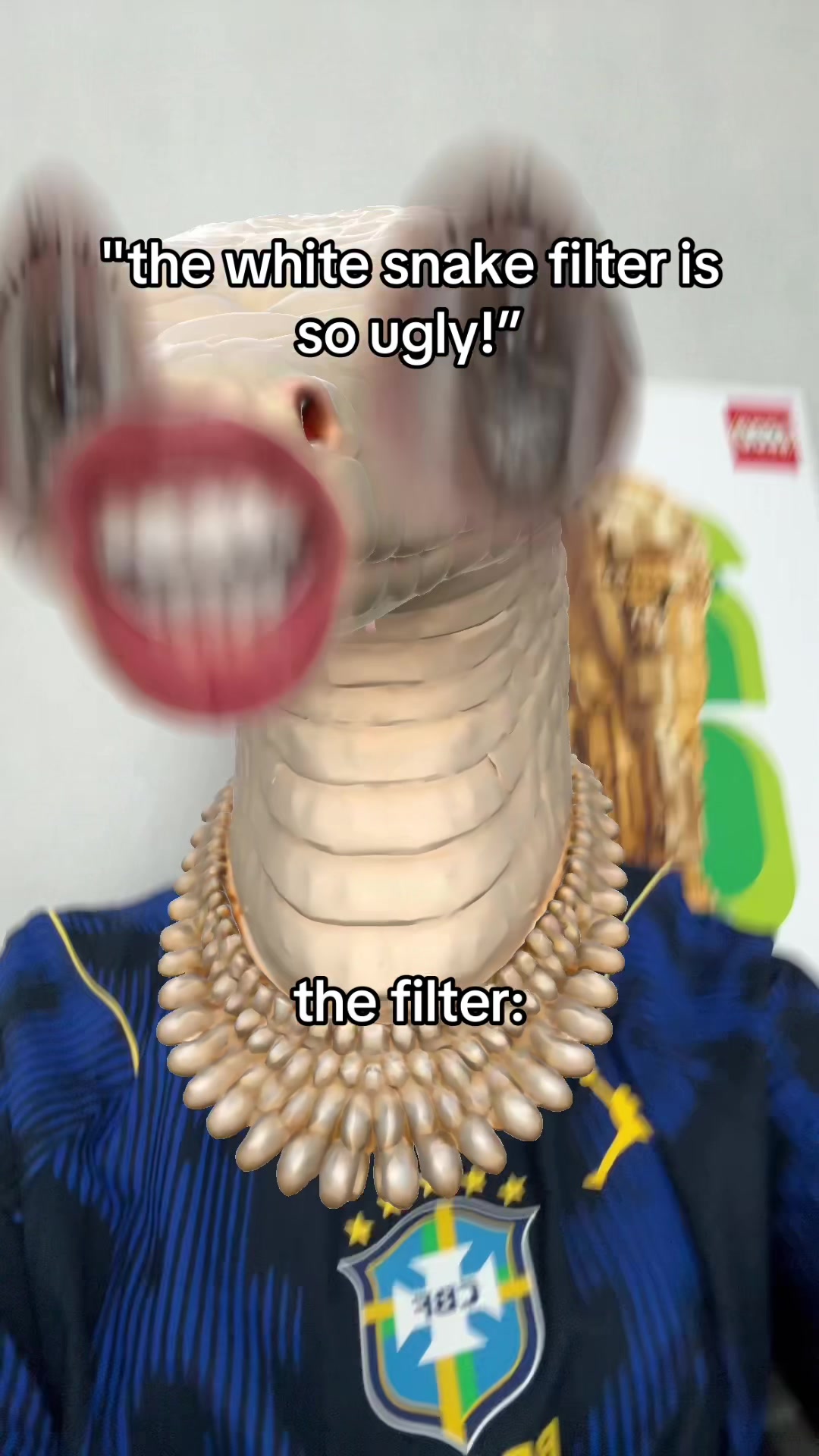 @sonyathechief