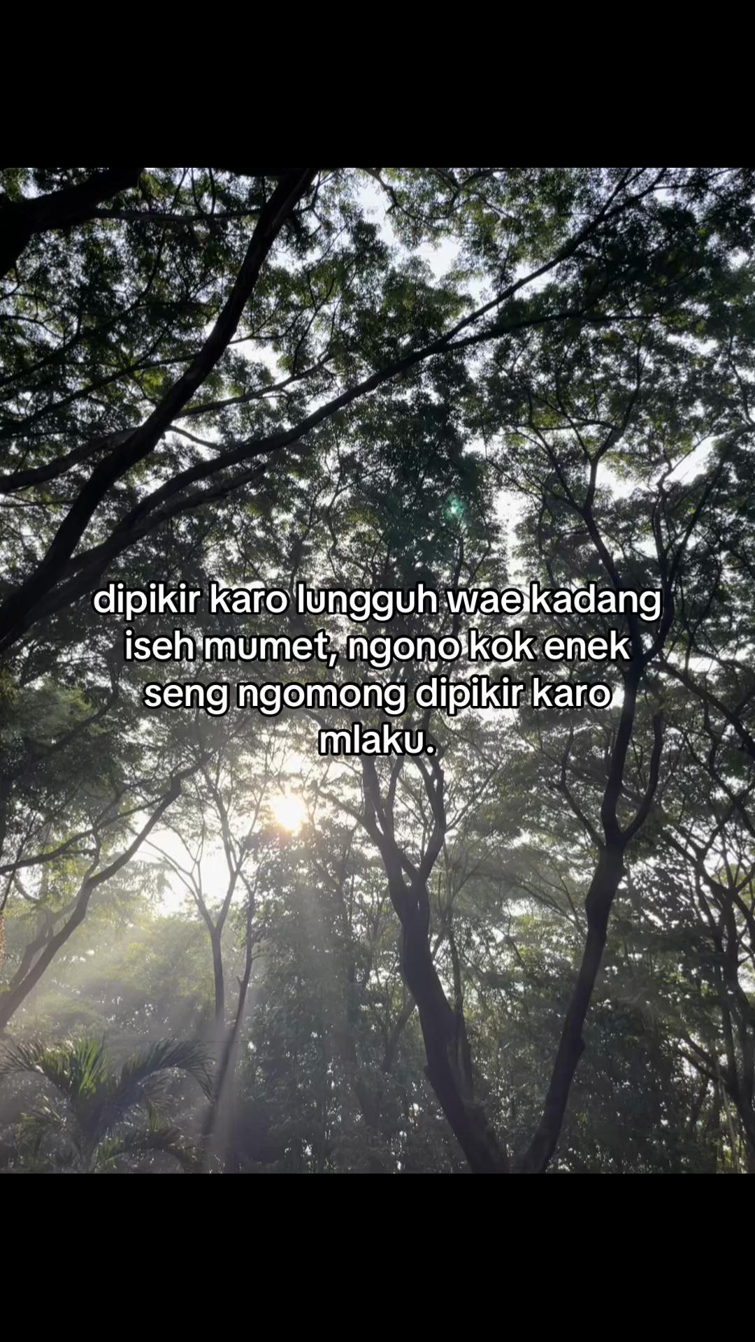 @naa⋆.˚ʚଓ