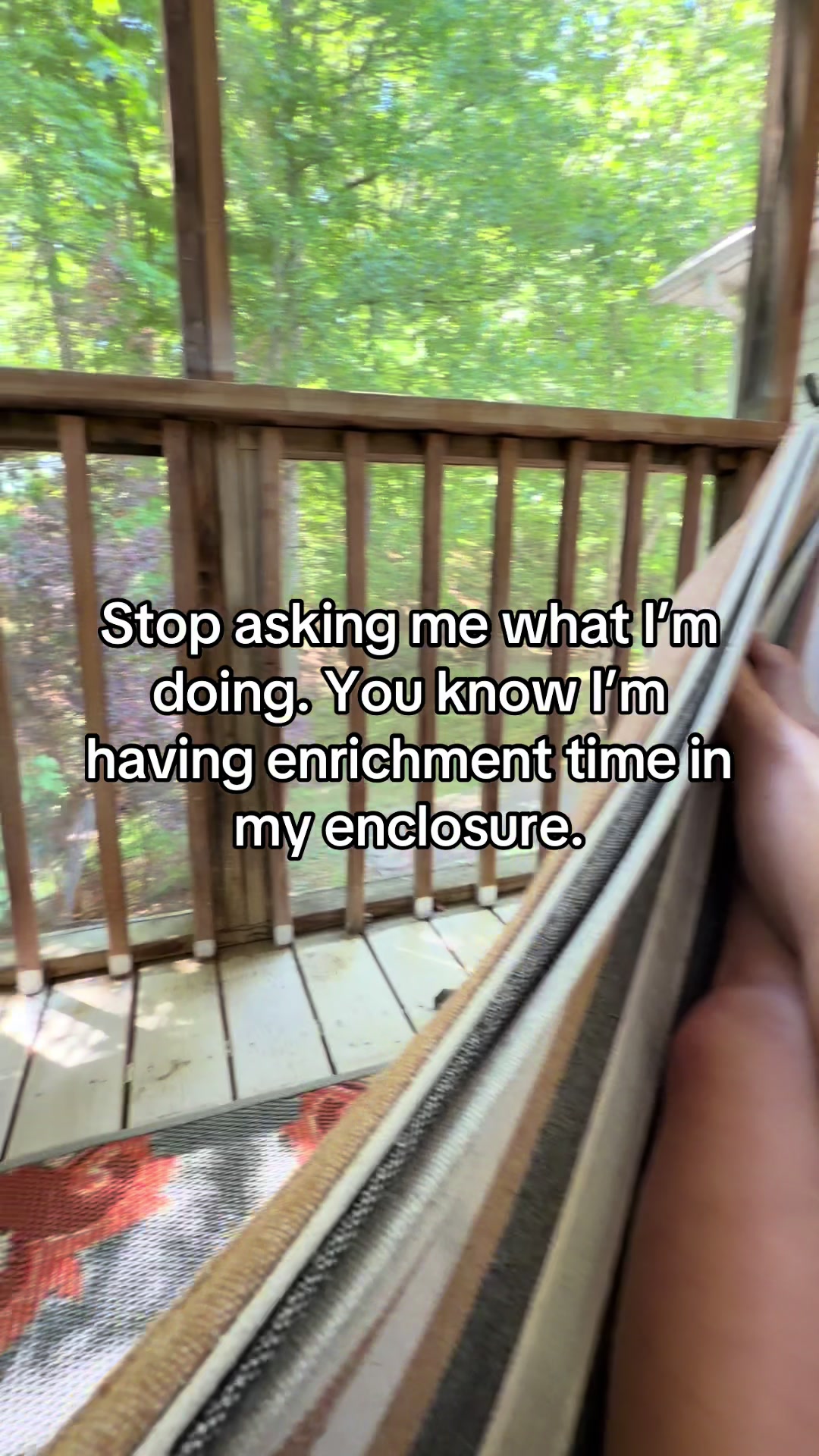 @Angela Scearce
