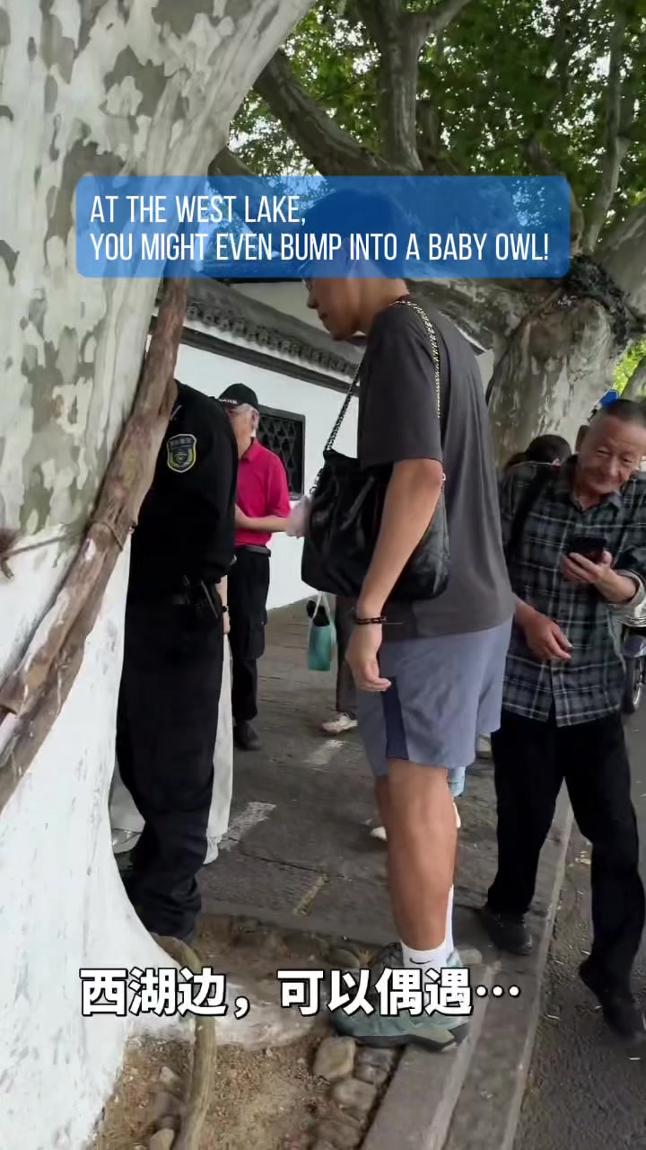 @中国蓝国际