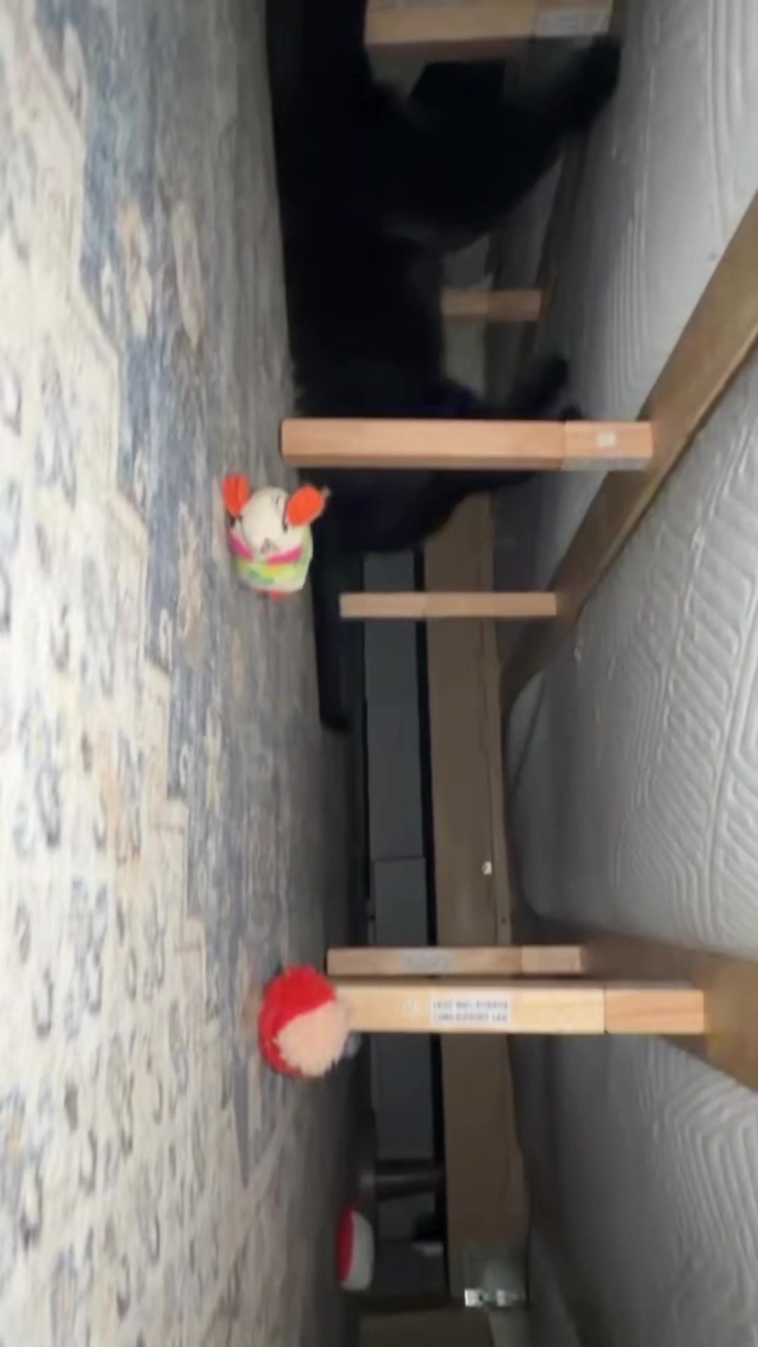 @sirpapiiiiii