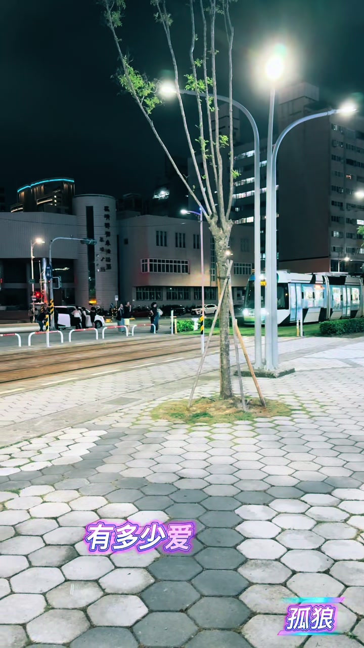 @孤狼