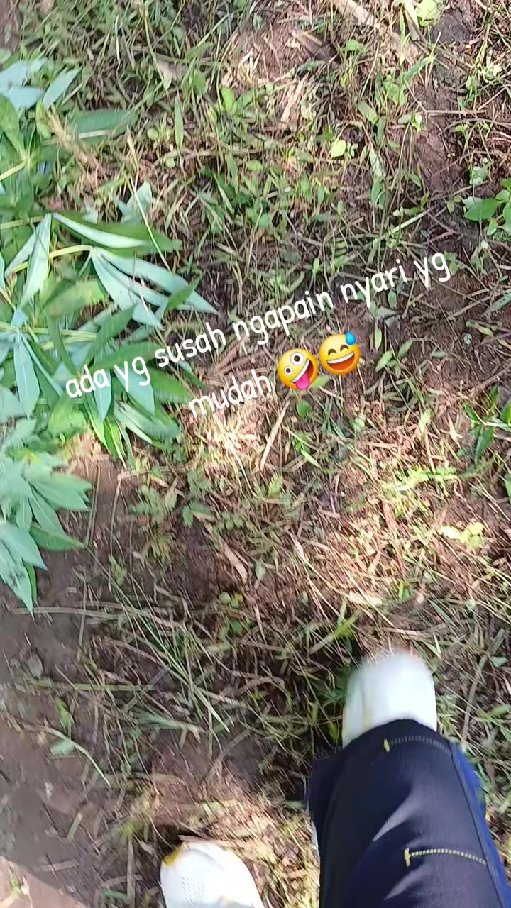 @tintris