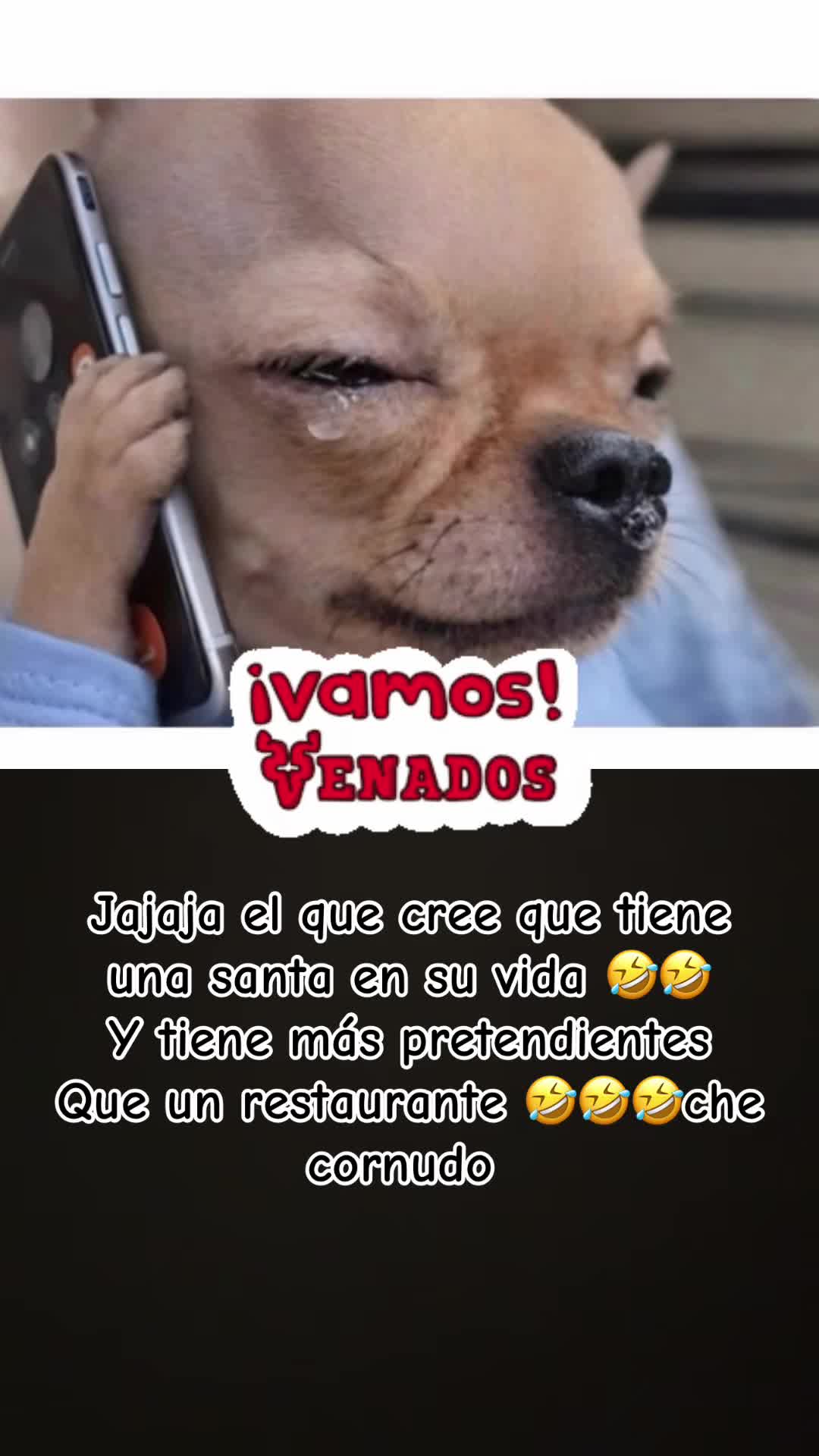 @Jenny pantera negra