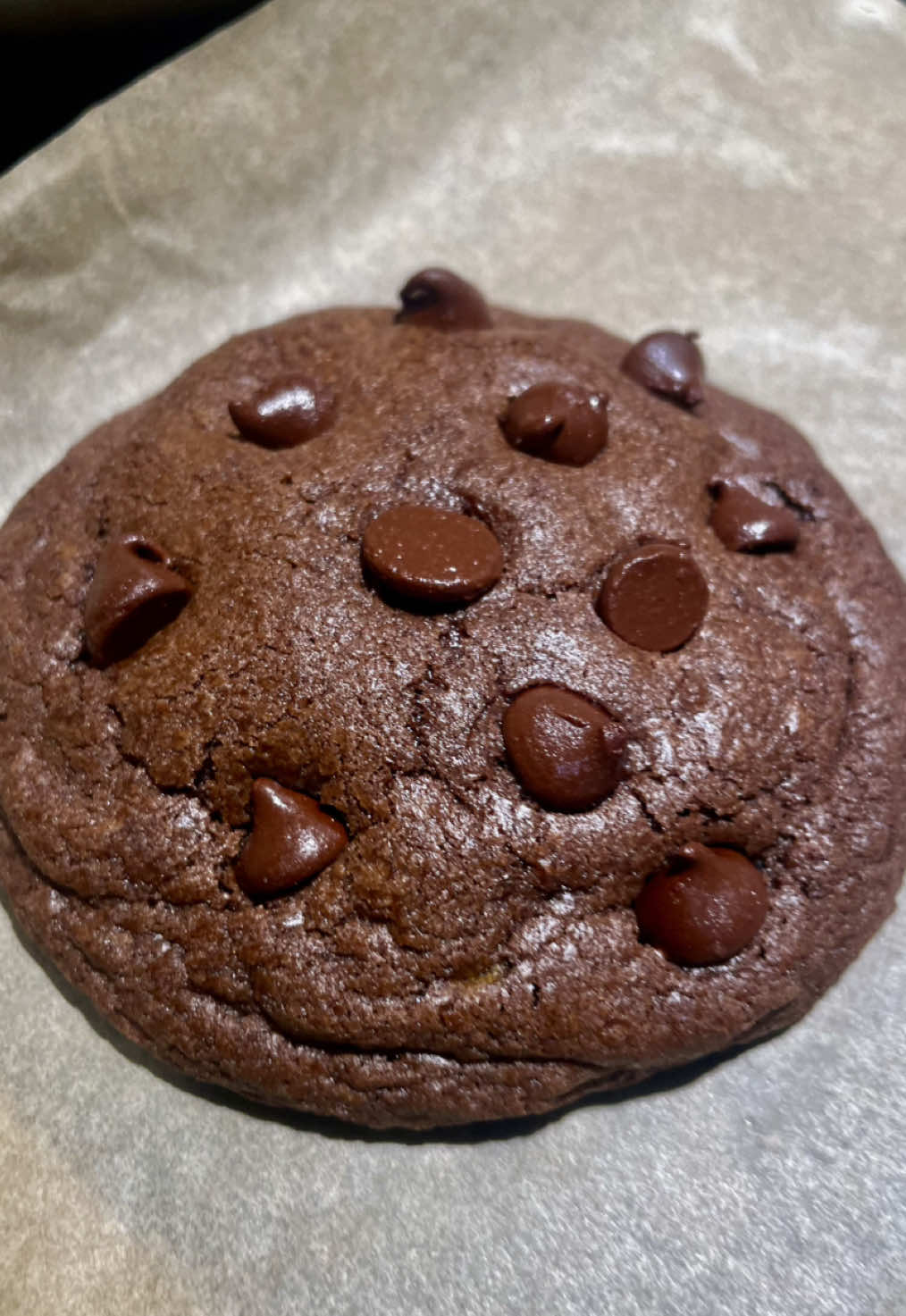 @Paloma ❤️🍪