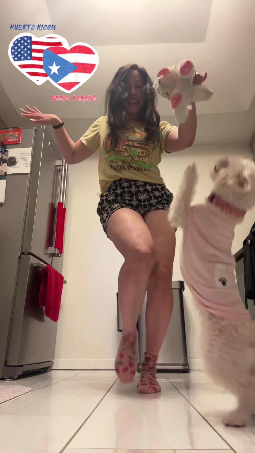 @mymibella