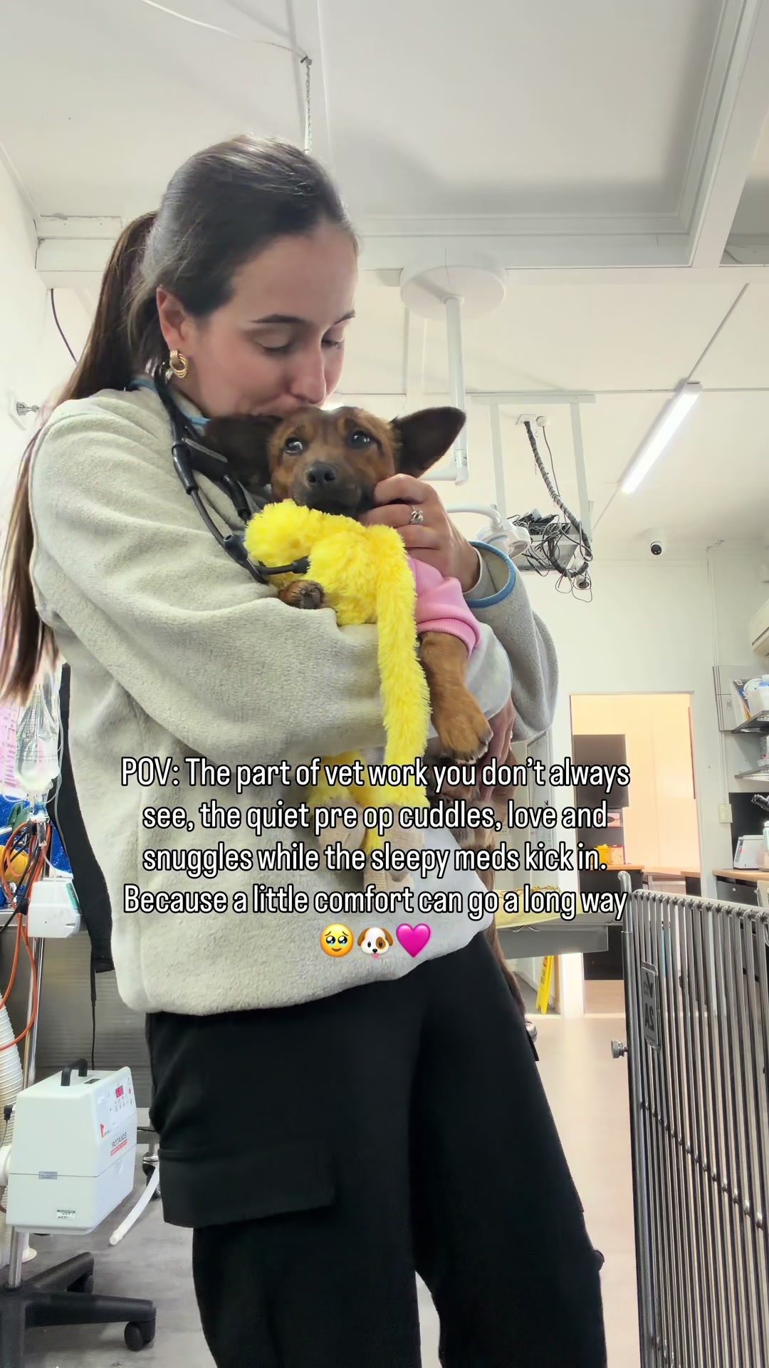 @drmegthevet