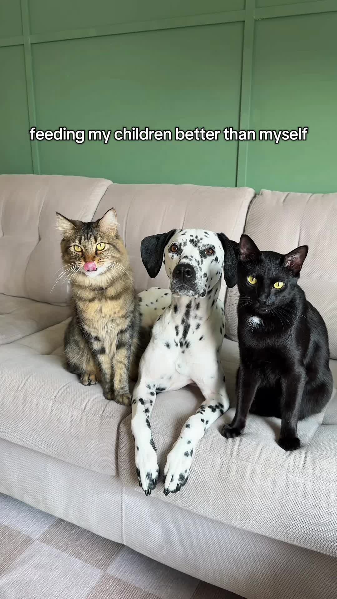 @Native Pet