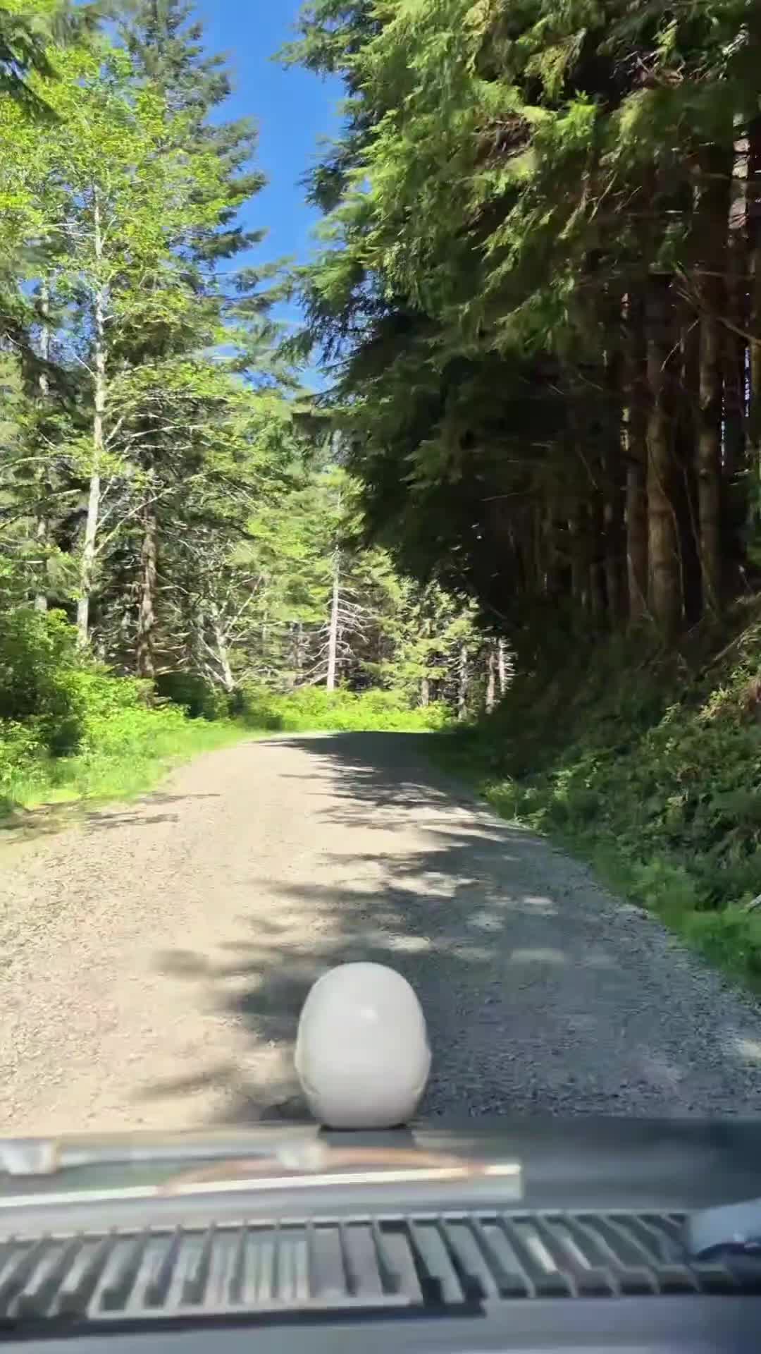 @TesticleezOfTroy